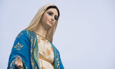 Vansol Tours - Hail, Holy Queen 2