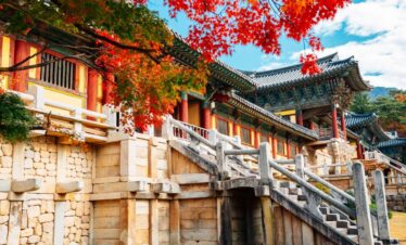 Vansol Tours - Heartfelt Korea_ Autumn 2