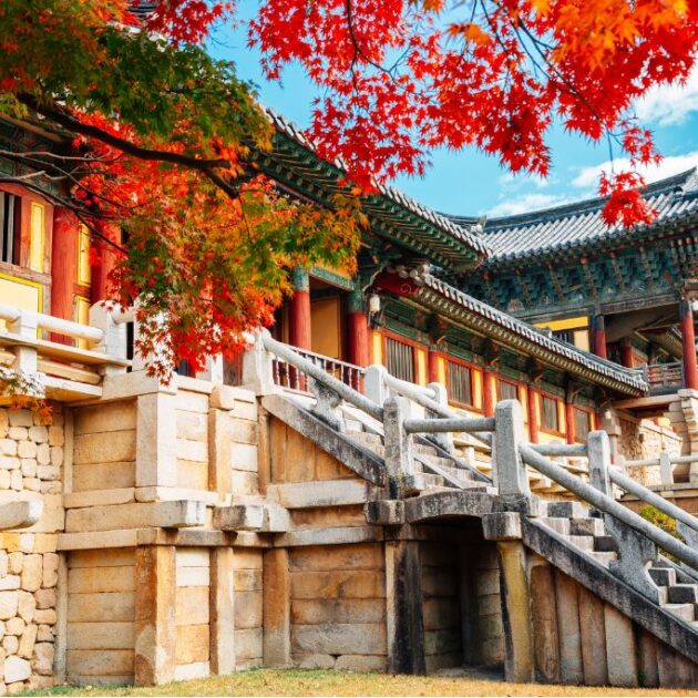 Vansol Tours - Heartfelt Korea_ Autumn 2