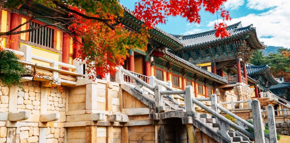 Vansol Tours - Heartfelt Korea_ Autumn 2