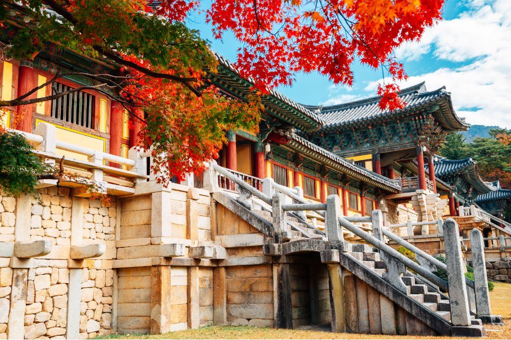 Vansol Tours - Heartfelt Korea_ Autumn 2