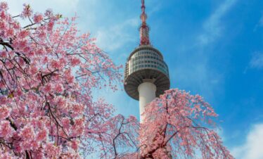 Vansol Tours - Heartfelt Korea_ Autumn 4