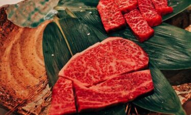 Vansol Tours - Kobe beef experience in Osaka