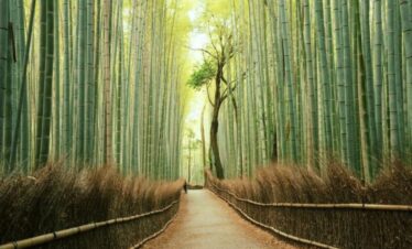 Vansol Tours - Memorable Japan-Osaka 5J Summer Autumn