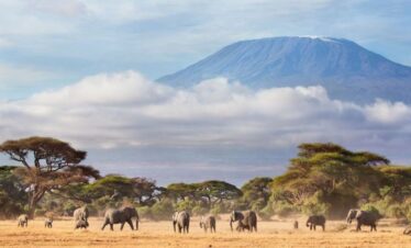 Vansol Tours - Waka Waka Africa
